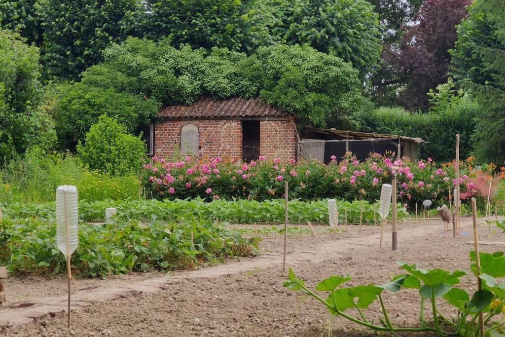 Uw Eigen Boerderij Bij Le Moulin De La Place Hargicourt Esterno foto