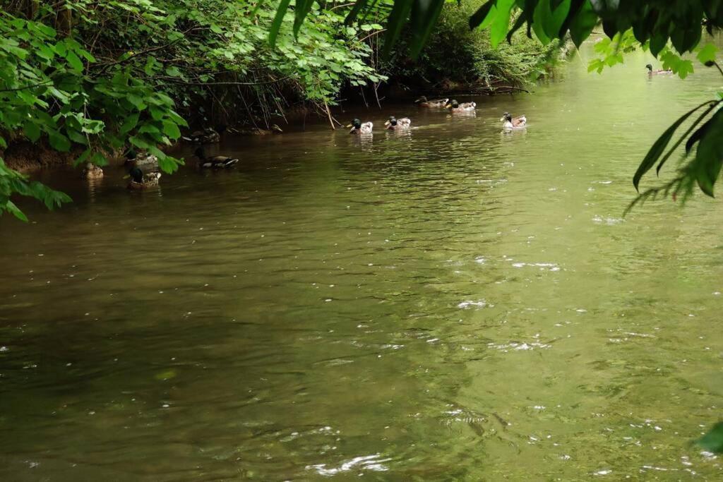 Uw Eigen Boerderij Bij Le Moulin De La Place Hargicourt Esterno foto